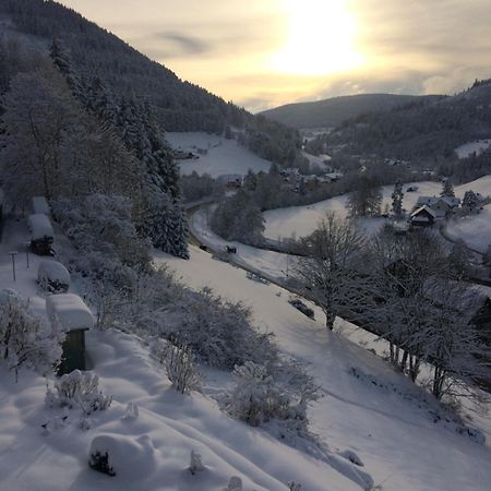 Ferienwohnung Altes Berghaus Obertal  Exterior foto
